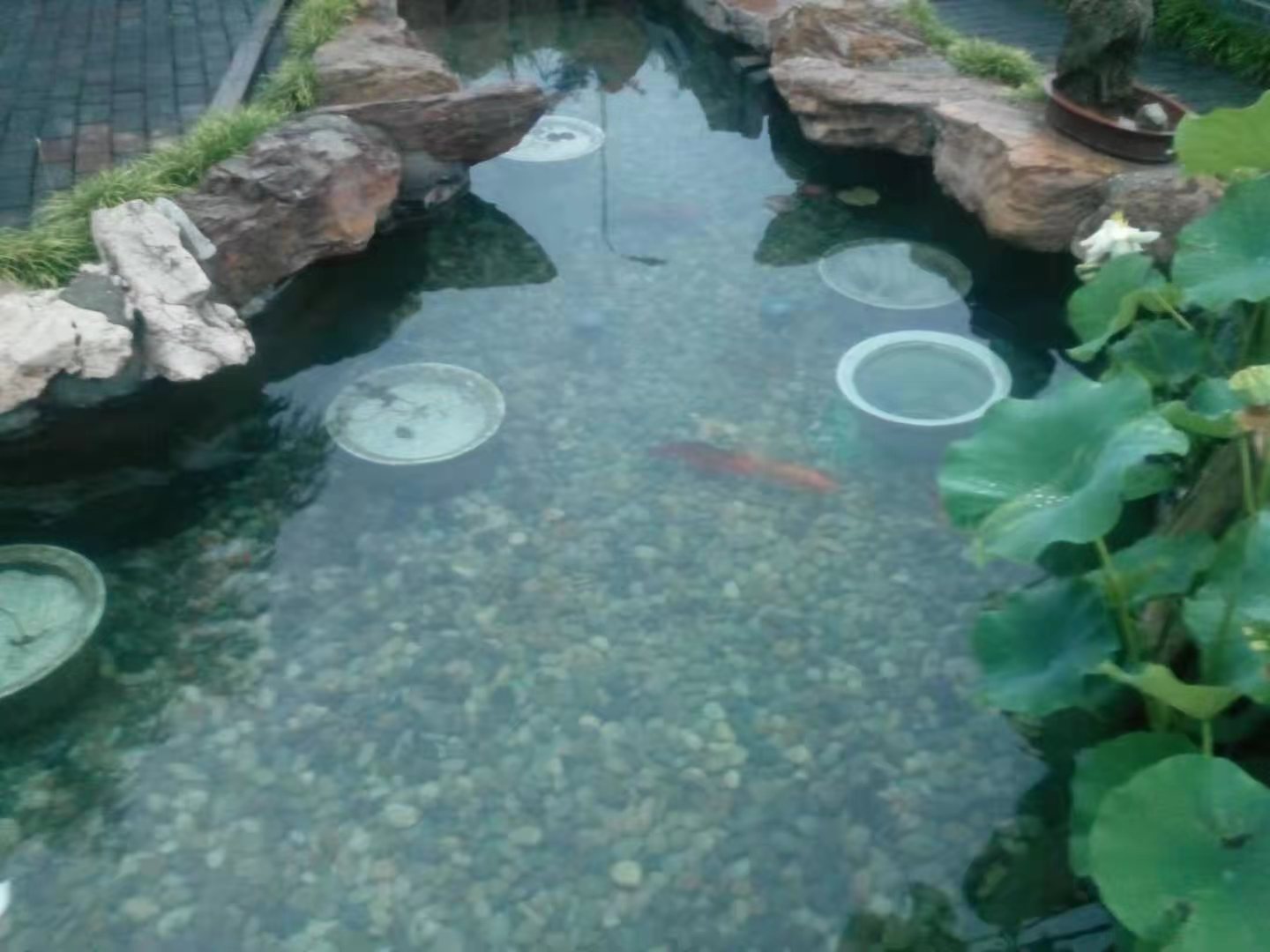 �~(y��)�؃���